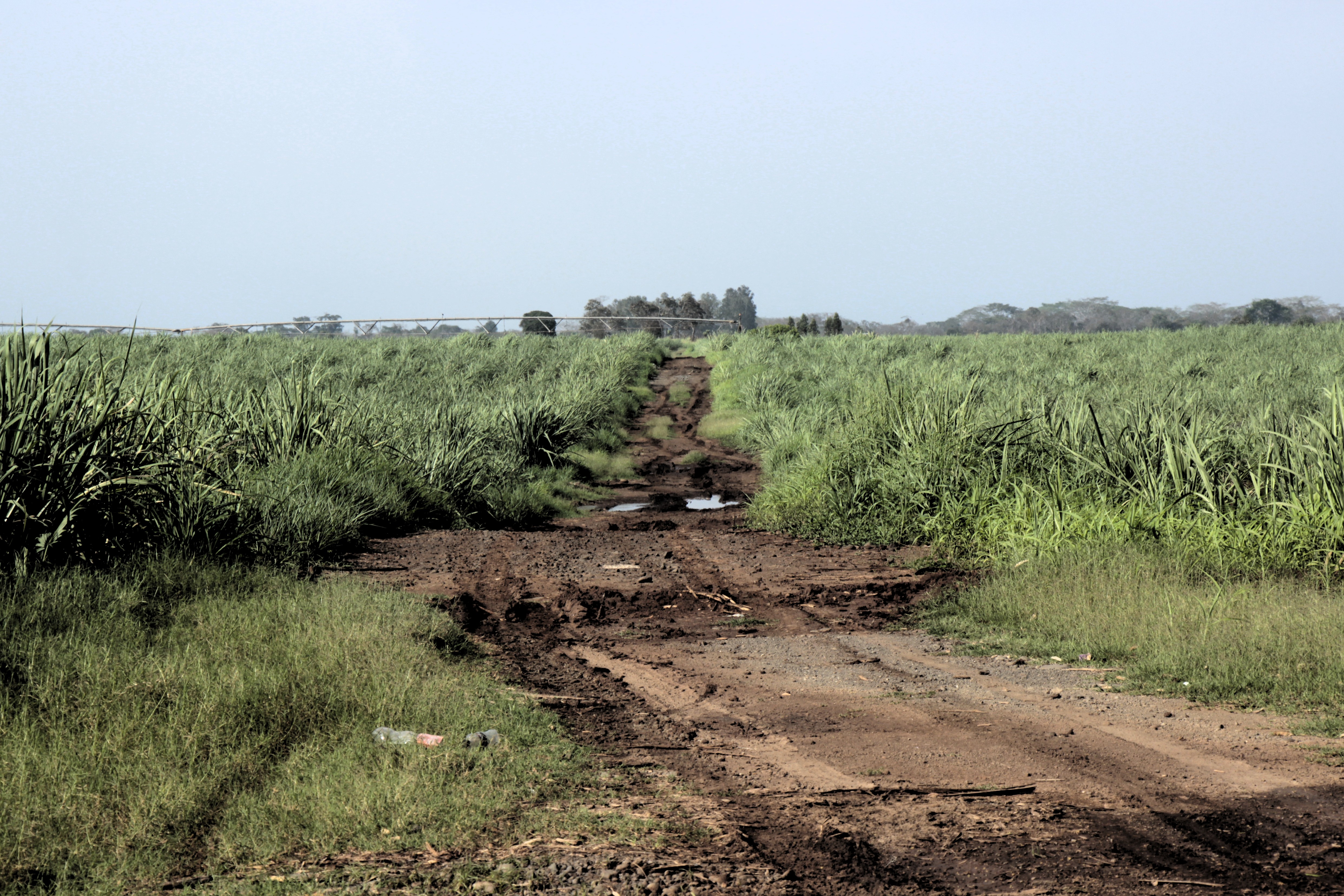 Truck damaged roads