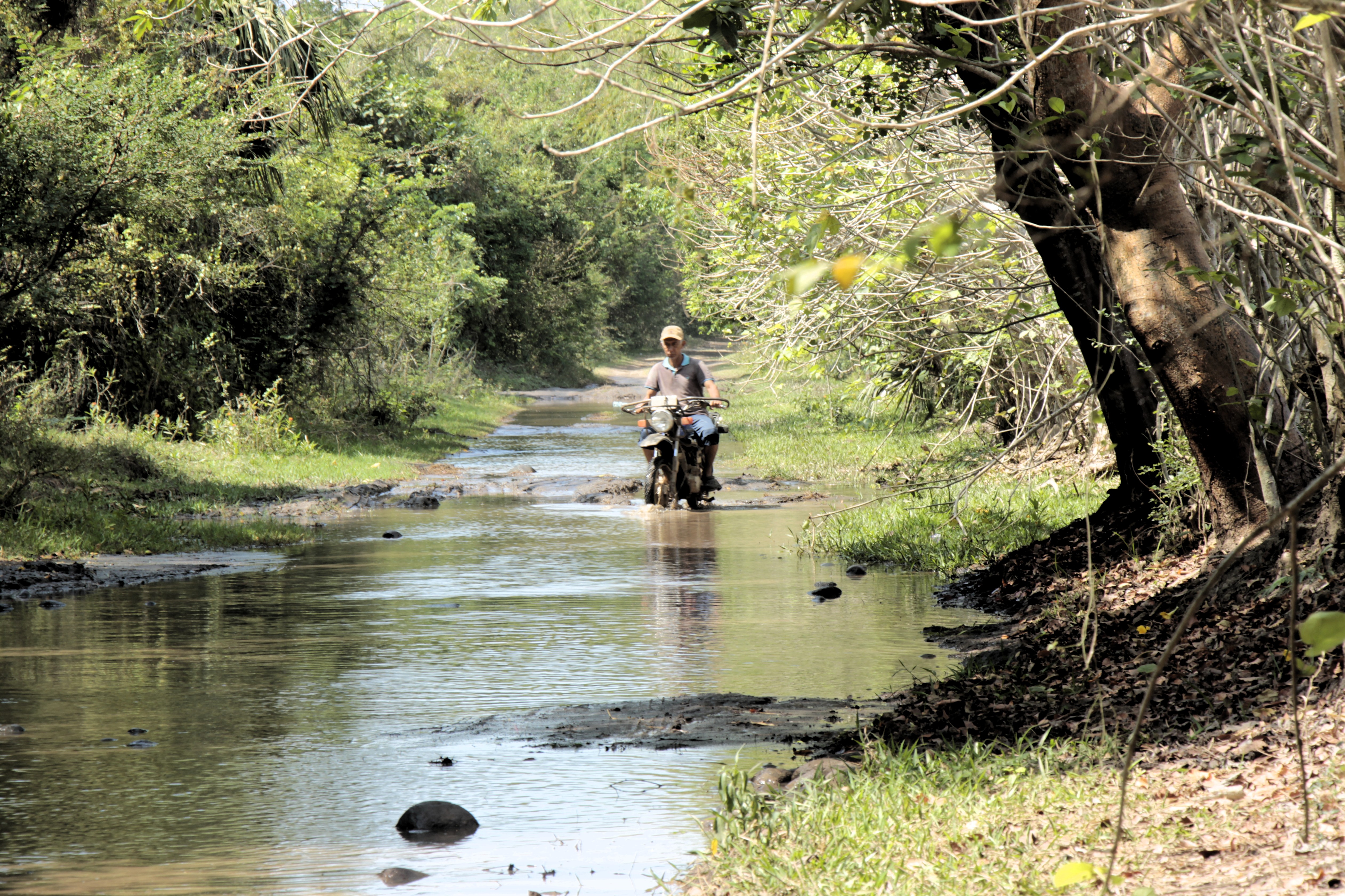 Flooded roadways