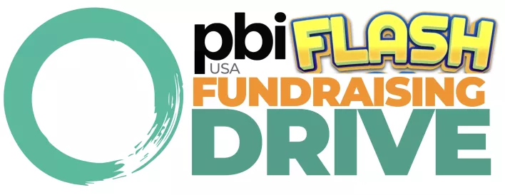 PBIUSA FLASH LOGO PBIUSA FLASH LOGO