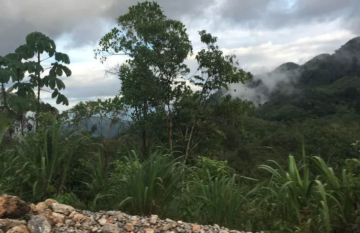 Cloud Forest Guatemala Oct 2018