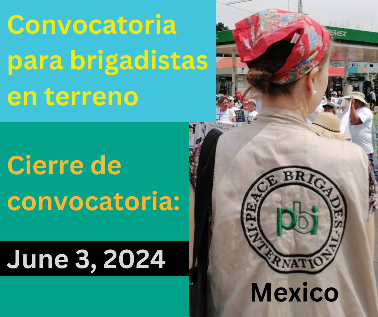 June2024 PBI México Call for Vols