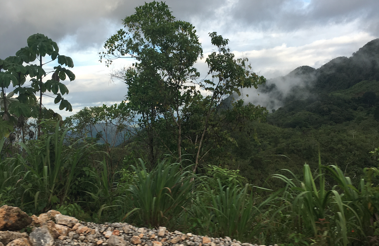 Cloud Forest Guatemala Oct 2018
